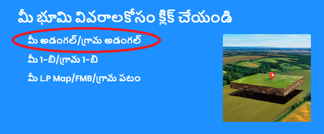 AP Meebhoomi 2024 - View 1B, Adangal, Village Map, Passbook