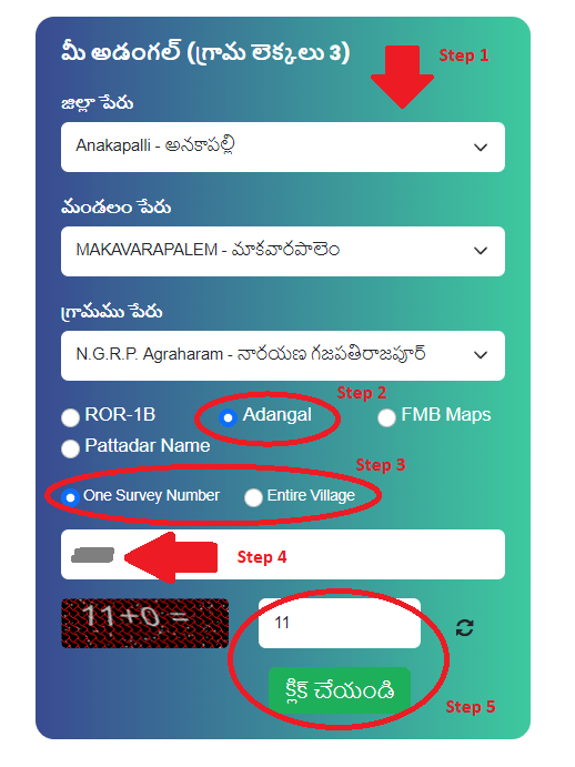 AP Meebhoomi 2024 - View 1B, Adangal, Village Map, Passbook